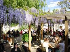 Our favourite alfresco dining restaurants image