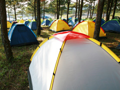 Camping & Outdoor Equipment image