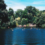 Swim in Hampstead's beautiful natural lakes picture